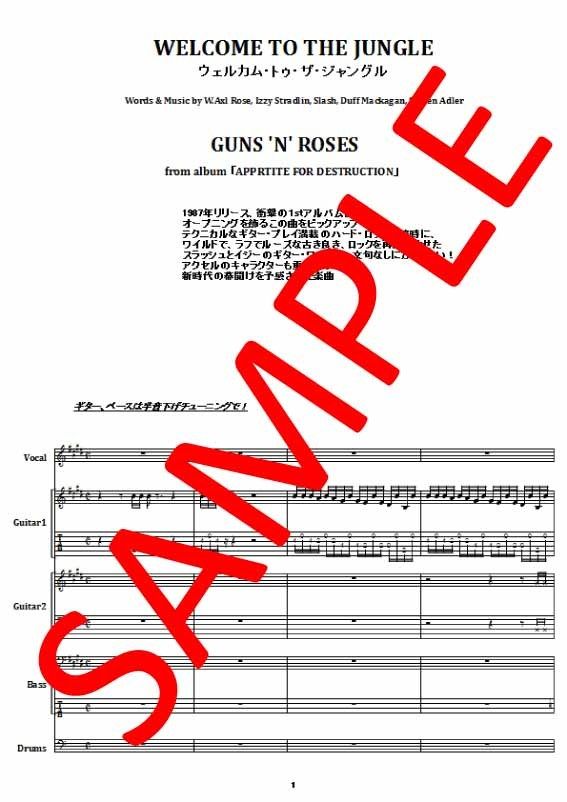 ガンズ・アンド・ローゼス(GUNS N' ROSES) / ウェルカム・トゥ・ザ