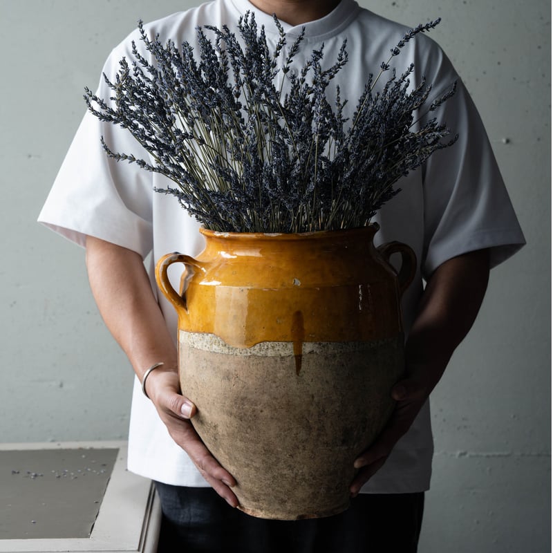 大きな黄釉の南仏コンフィポット・ゴッホのひまわり | BOLT antique