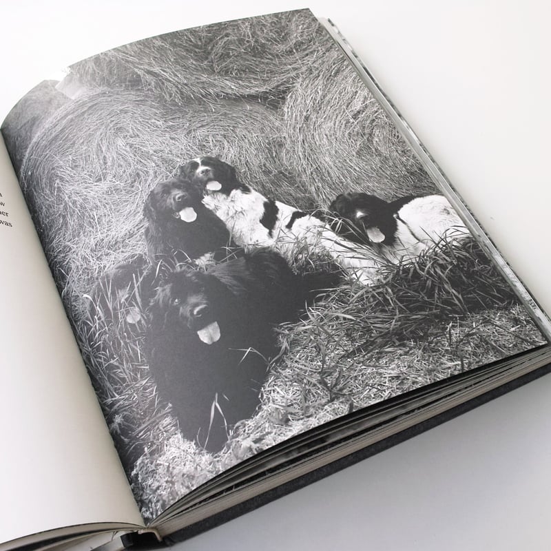 Bruce Weber / Gentle Giants | POST