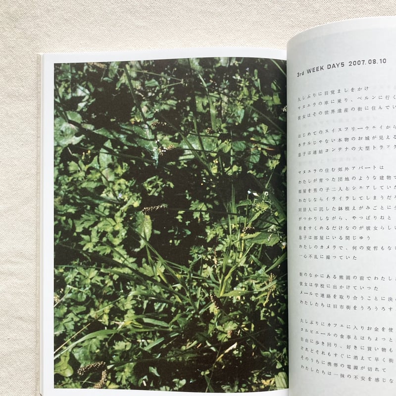 長島有里枝｜SWISS | 曲線