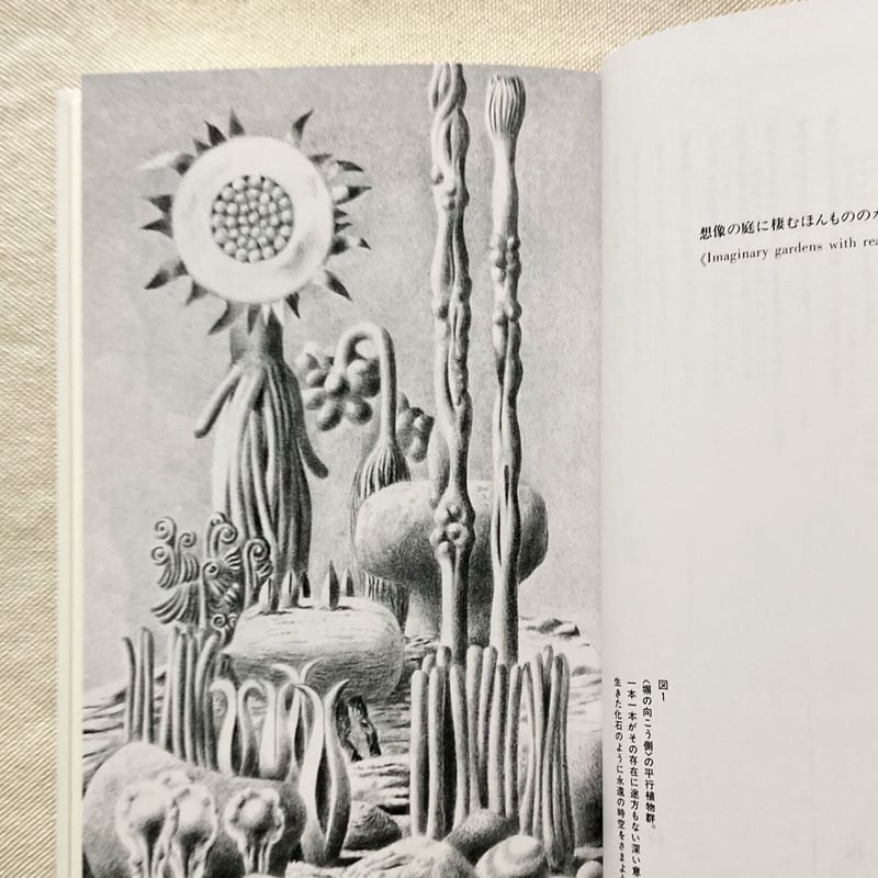 レオ・レオーニ｜平行植物 | 曲線