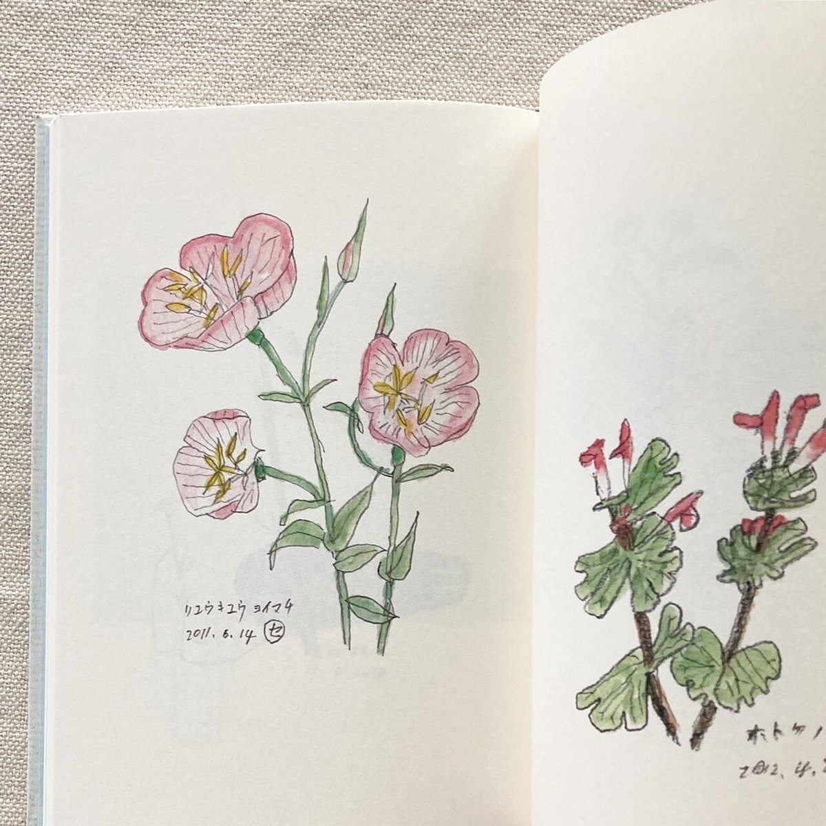 小野節郎｜セツローさんの随筆 | 曲線