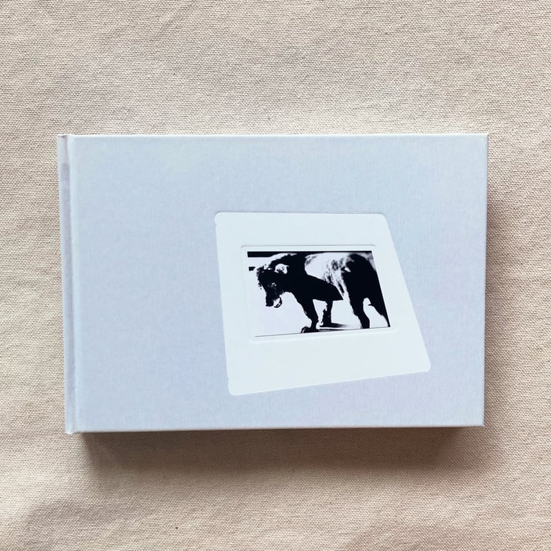 森山大道｜DAIDO SLIDE | 曲線