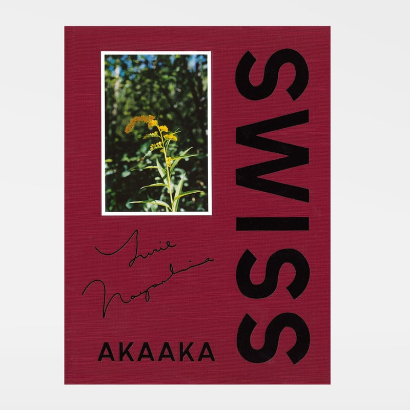 長島有里枝｜SWISS | 曲線