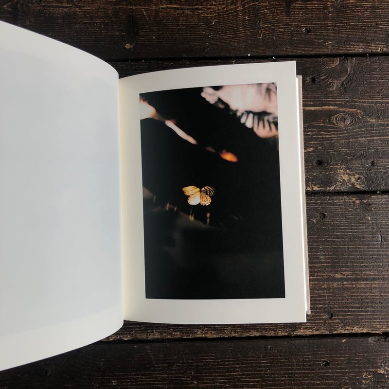 Signed】KANON｜山上新平（Shimpei Yamagami） | POETIC S