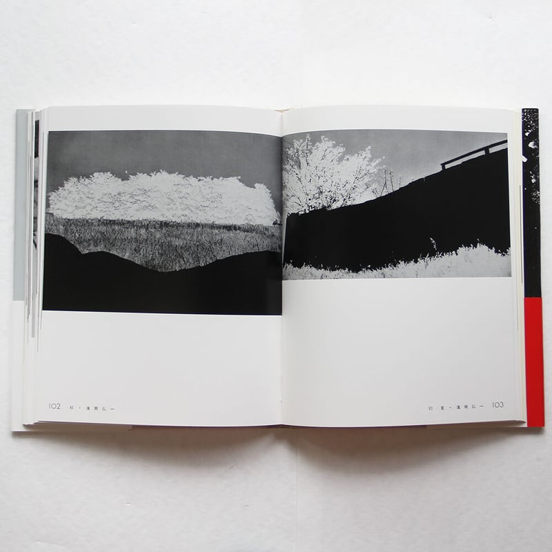 丹平写真倶楽部『光』（日本写真史の至宝） | Fugensha STORE