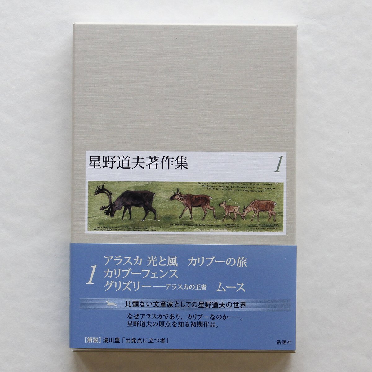 星野道夫『星野道夫著作集』（1〜5巻） | Fugensha STORE