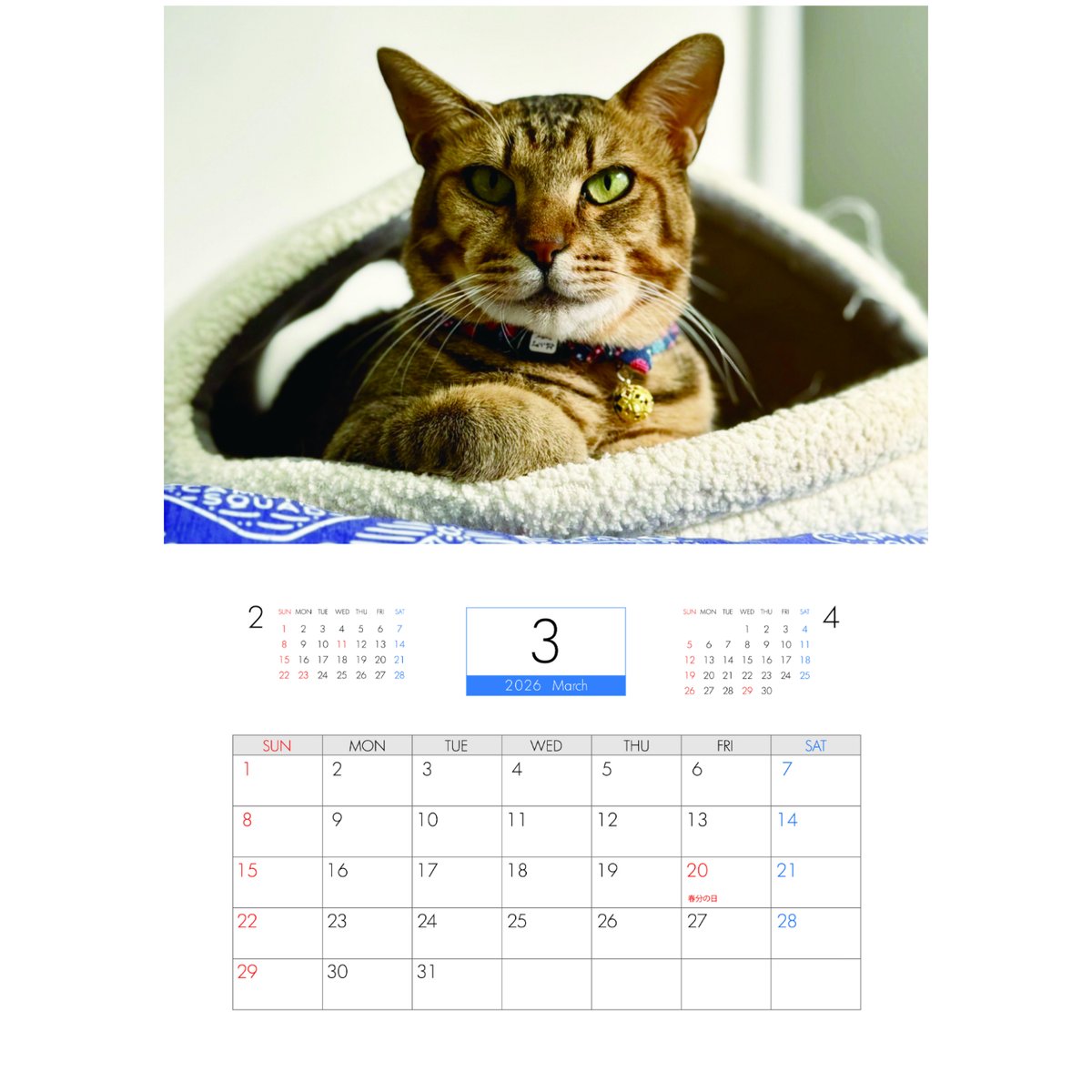 予約販売】 猫のウルン＆リコリン 2026年 壁掛け カレンダー KK26297