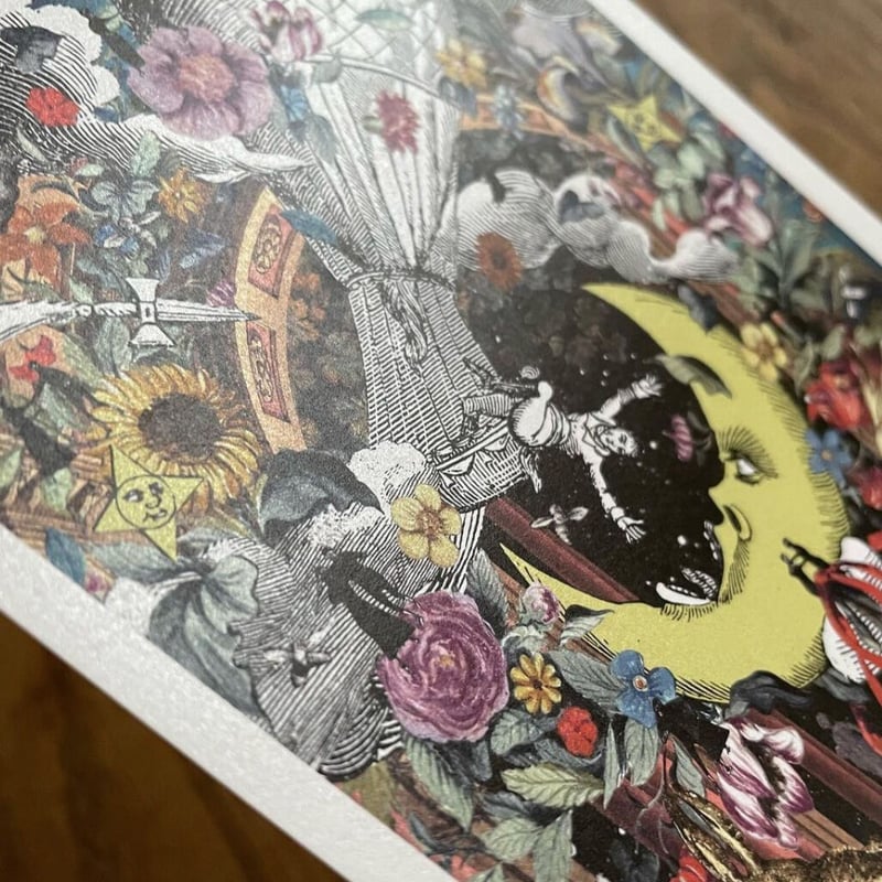 ポストカード10枚セット（活版印刷のボックス付き） | camouCollage