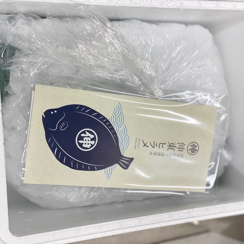 伸東ヒラメ』×『津本式究極の血抜き』ラウンド | シントウヨウギョ