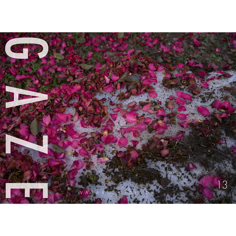 写真集】GAZE vol.13 | Photure