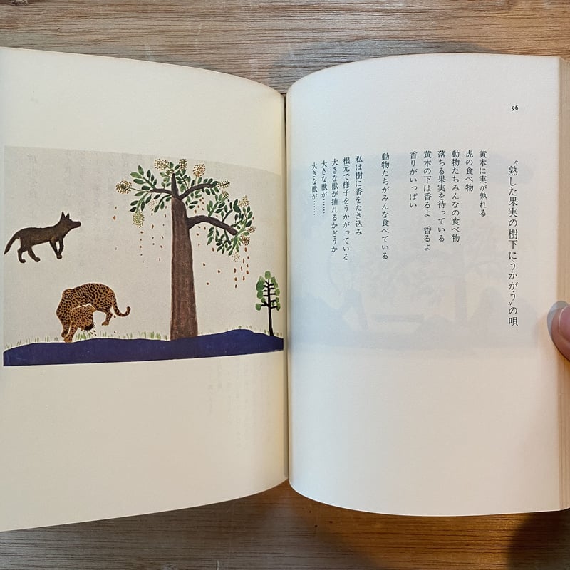 メキシコ詩集 メキシコ 三角みづ紀 | ナナロク社の店