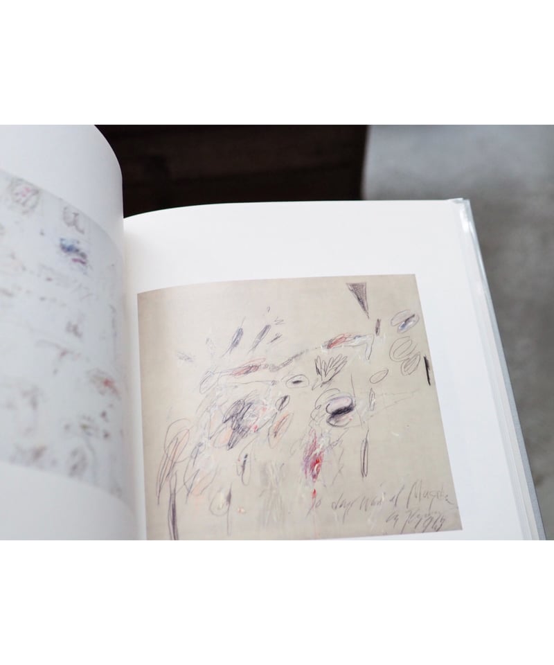 サイ・トゥオンブリーの写真 －変奏のリリシズム－ | button