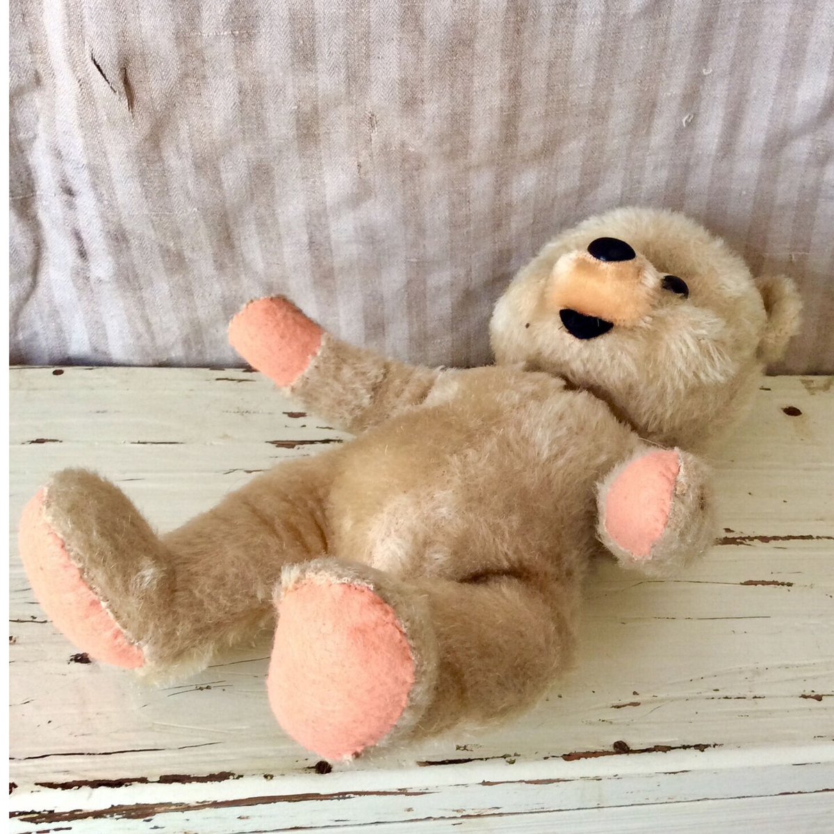 シュコー社 ポンチ目のくま | sputnikplus online shop