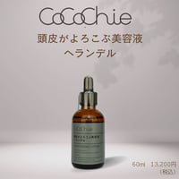 オーガニックシャンプー1000ml（詰替えサイズ） | cocochienet