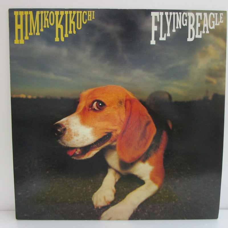 菊池ひみこ / Flying Beagle | TOHTO records & books a