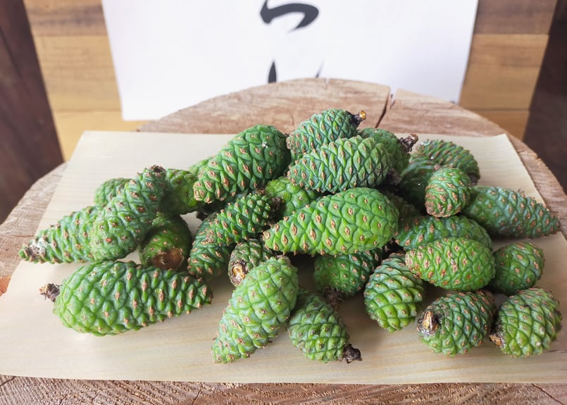 青松ぼっくり【期間、数量限定】 | 赤松くらし