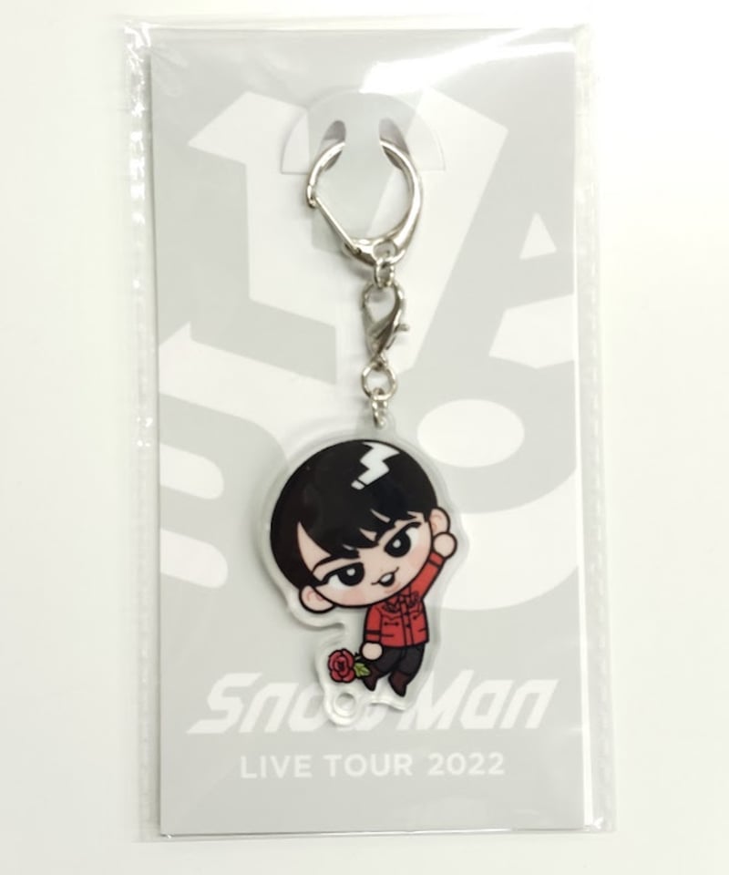 未開封】Snow Man LIVE TOUR 2022 Labo すのチルぶら下がりシリーズ