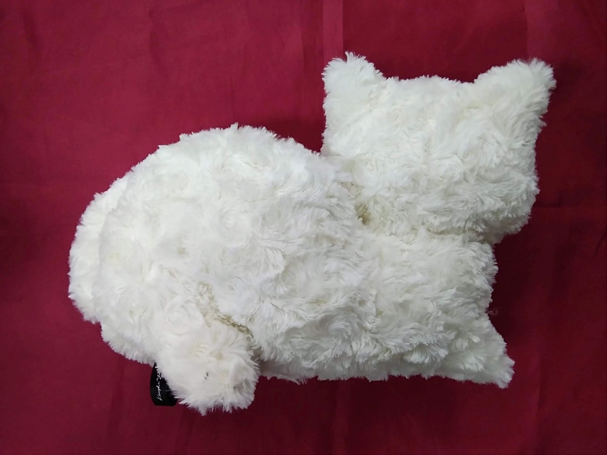 開封済み】米津玄師 リイシューねこちゃん WHITE | K-BOOKS K-POP館 ア