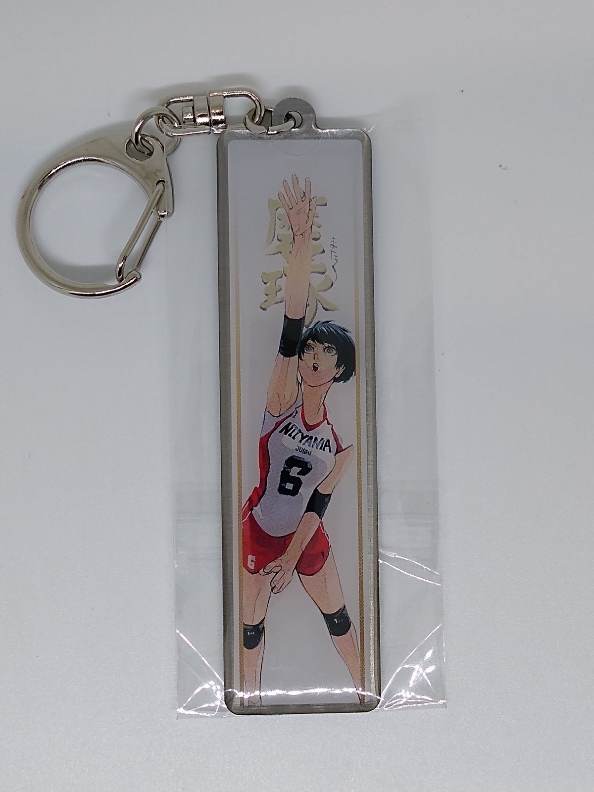 ハイキュー 天内 叶歌 メタルキーホルダーコレクション プレースタイル