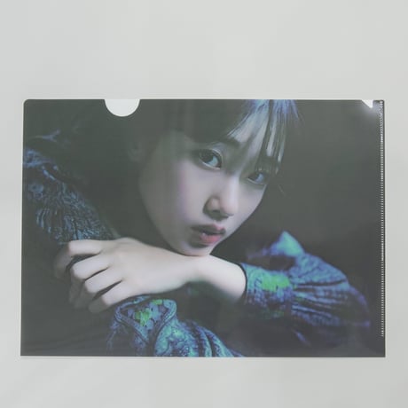 CATEGORY 私が撮りたかった女優展Vol.4 | ギローチェオンラインストア