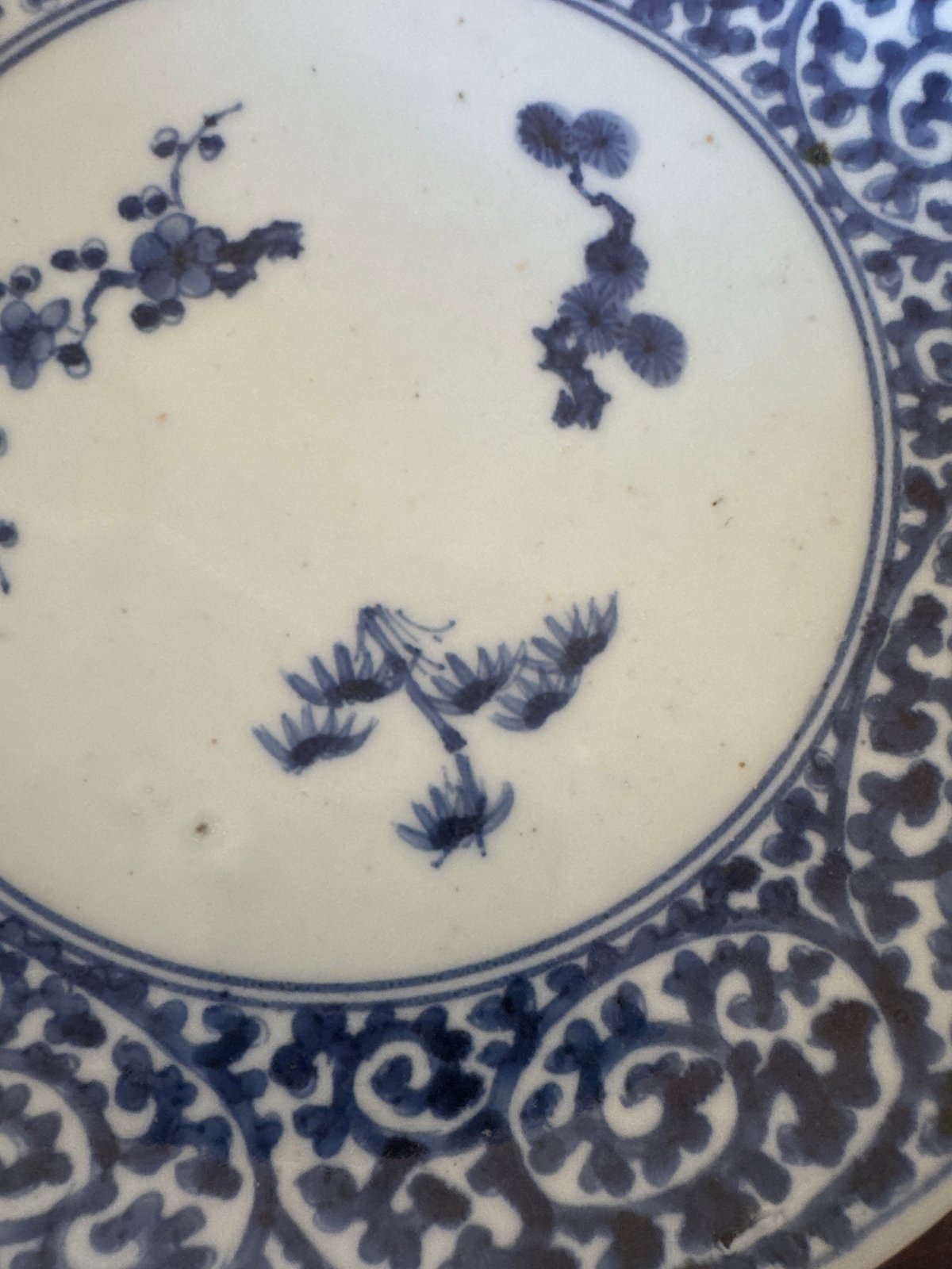 古伊万里 染付蛸唐草文 輪花七寸皿 太蛸！ 1枚 | Kaikaroman ONLINE STORE