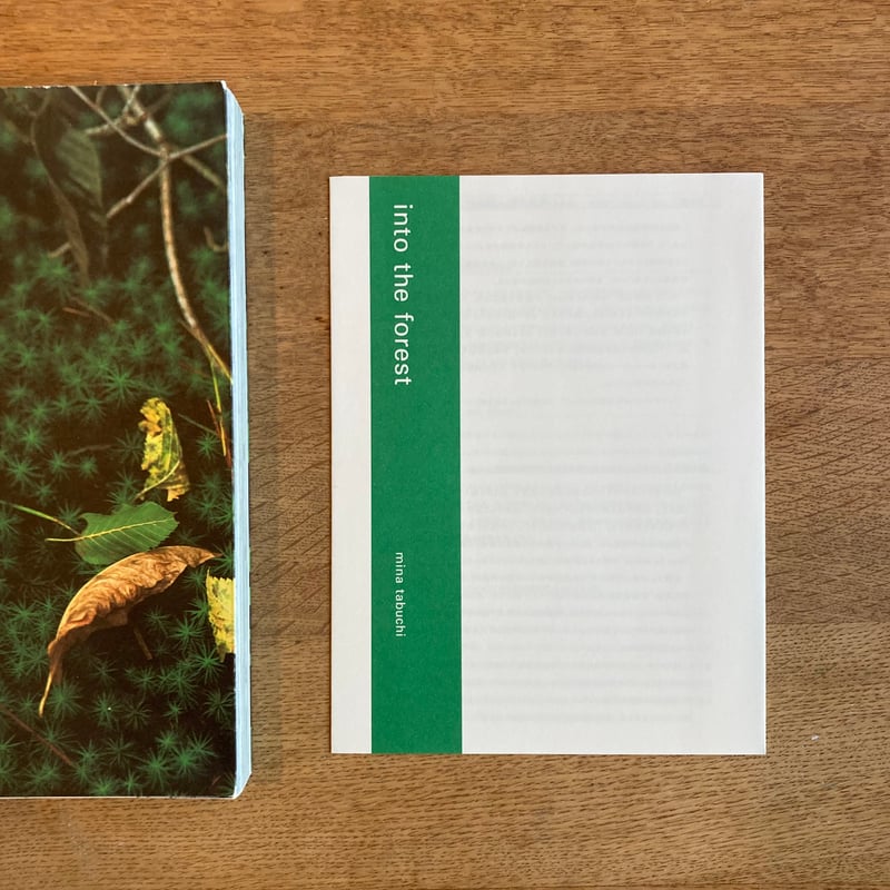 mina tabuchi｜into the forest | WHITEGREEN GALLERY