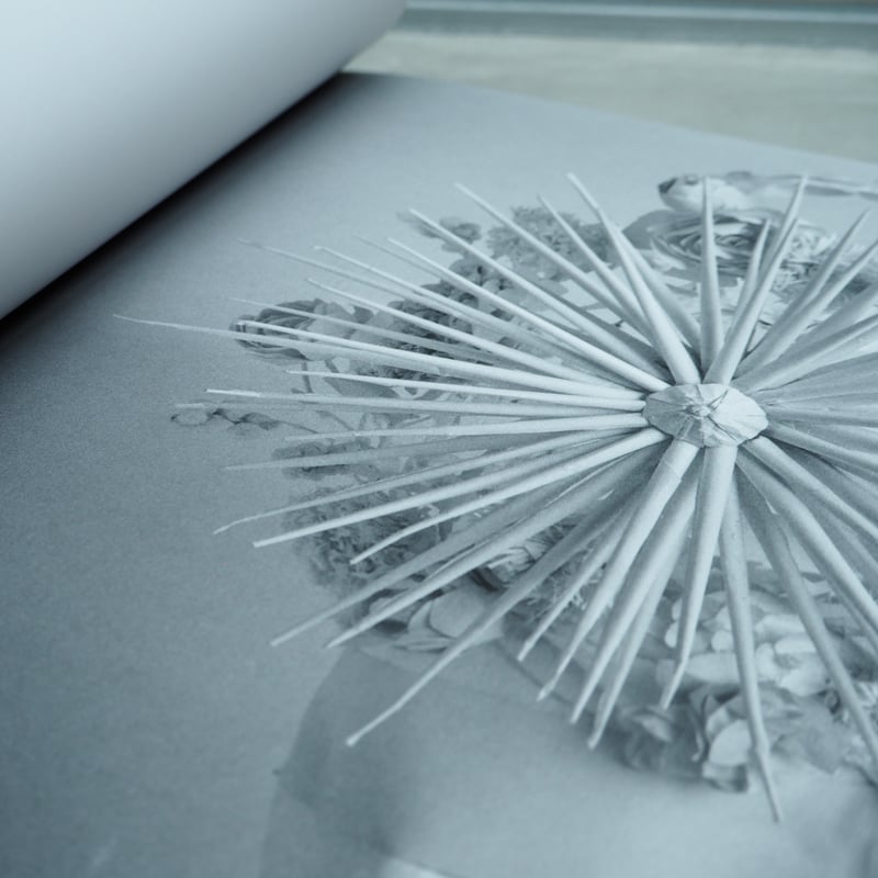 KAMO HEAD by Katsuya Kamo 加茂克也 作品集 | FILM STORE