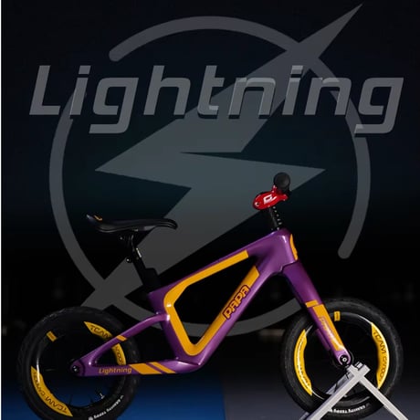 CATEGORY PAPABIKE FRAME | PAPABIKE JAPAN