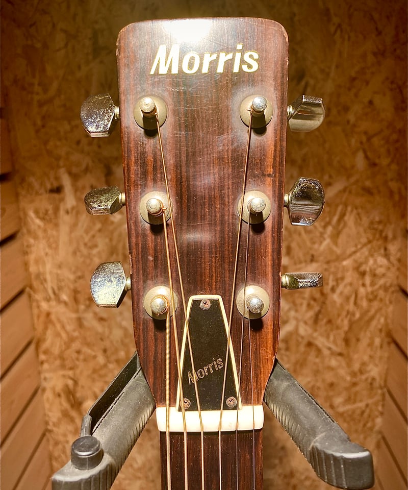 Morris F-20 | Guitarshop SOUNDNINE