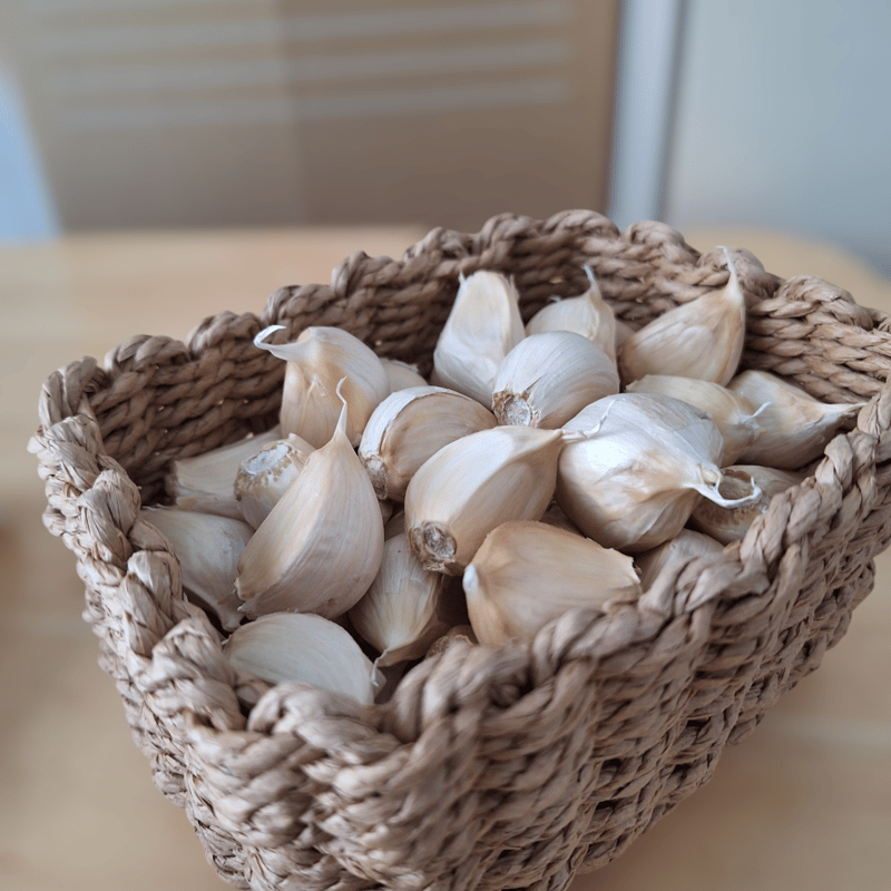 令和6年新物 !! 北海道しれとこ産 にんにく | 堀田農園