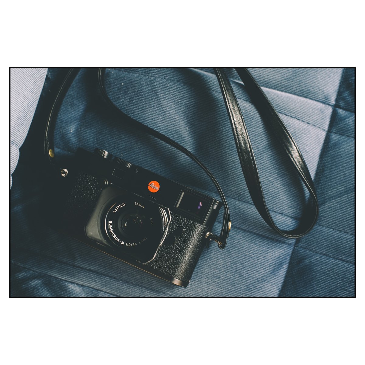 生産終了)『THE STANDARD STRAP』- black - | THE Buddy