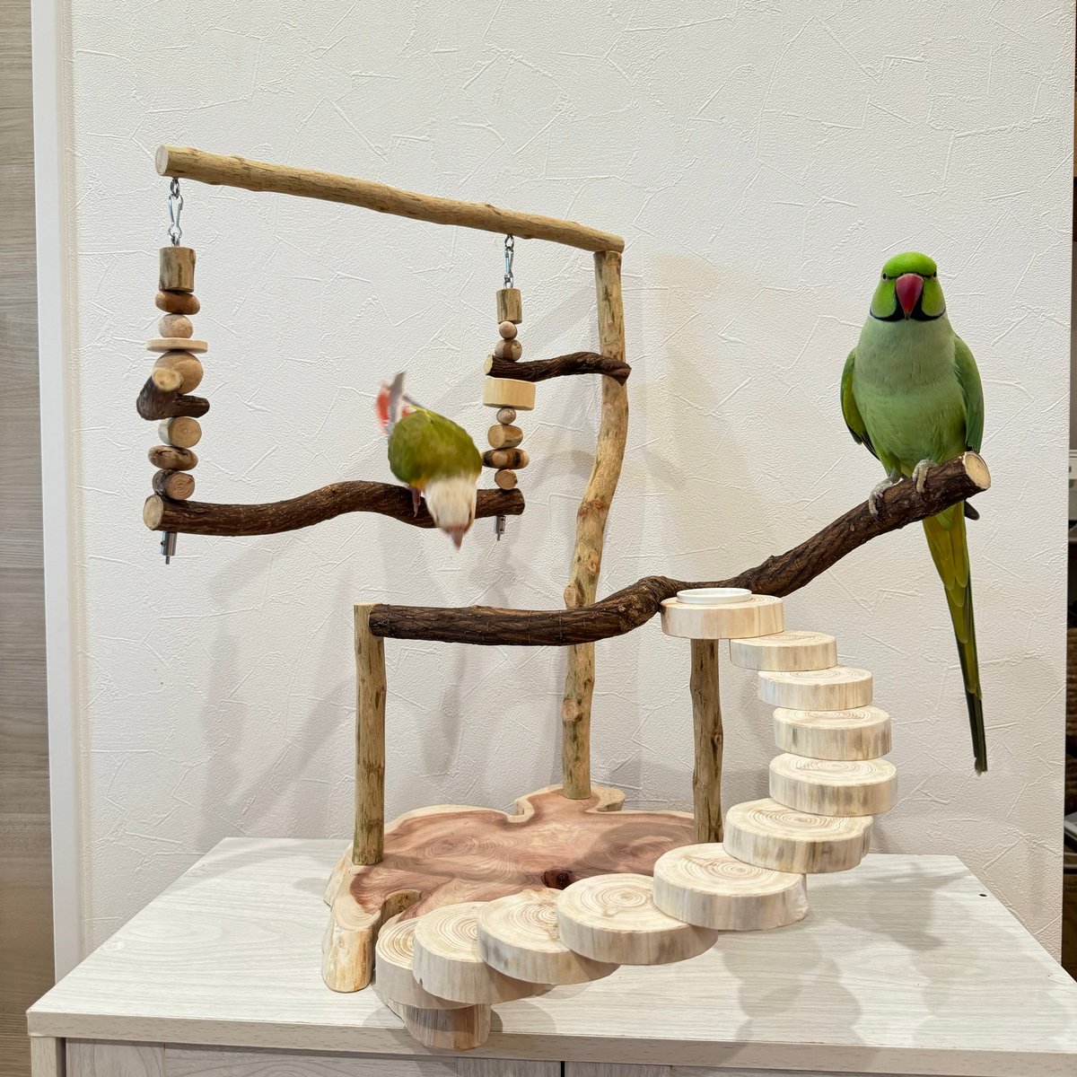 螺旋階段とハイジブランコのバードアスレチック【インコのおもちゃ