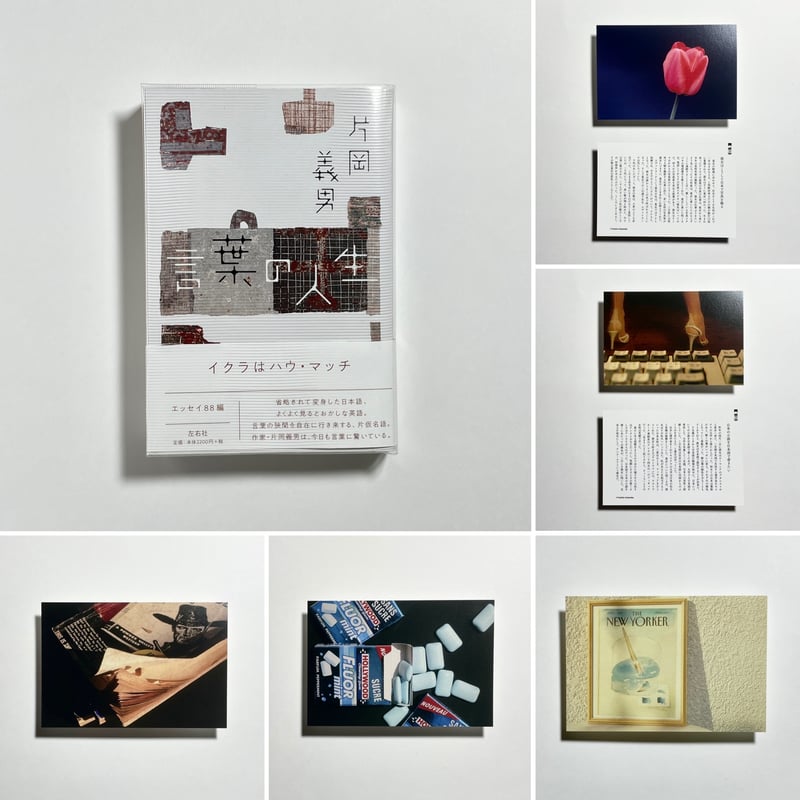 在庫あり】サイン本、アイテム一覧 | COTOGOTOBOOKS