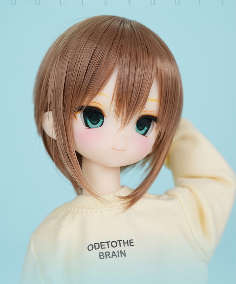 カスタマイズ】DolleyDoll 1/6スケールドール ヘッド 01/02 ※注文後2