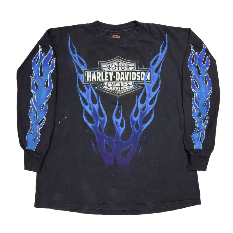 HARLEY DAVIDSON 1993 ROEDER BLUE FIRE FLAME LS