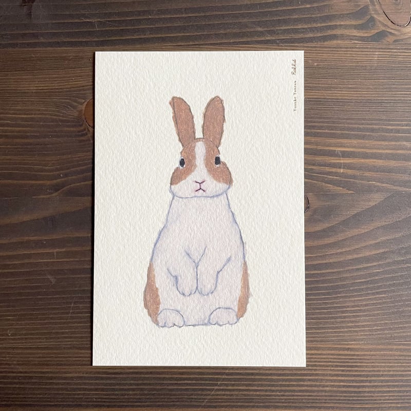 米津祐介 ポストカード/ うさぎ | リスノ雑貨店