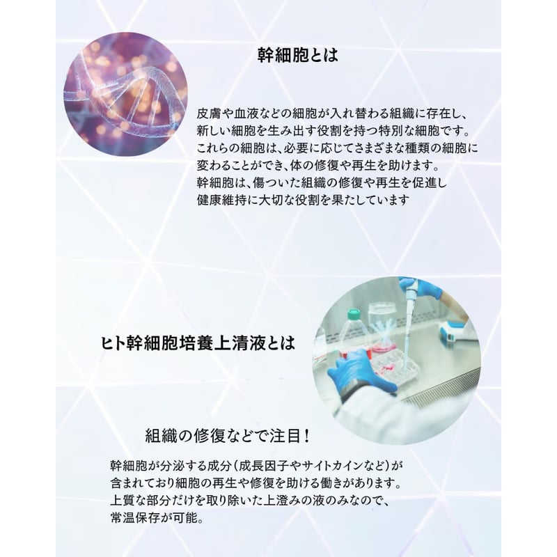 SELF'E STEM（セルフ・エ・ステム） オールインワンジェル | 若返美活