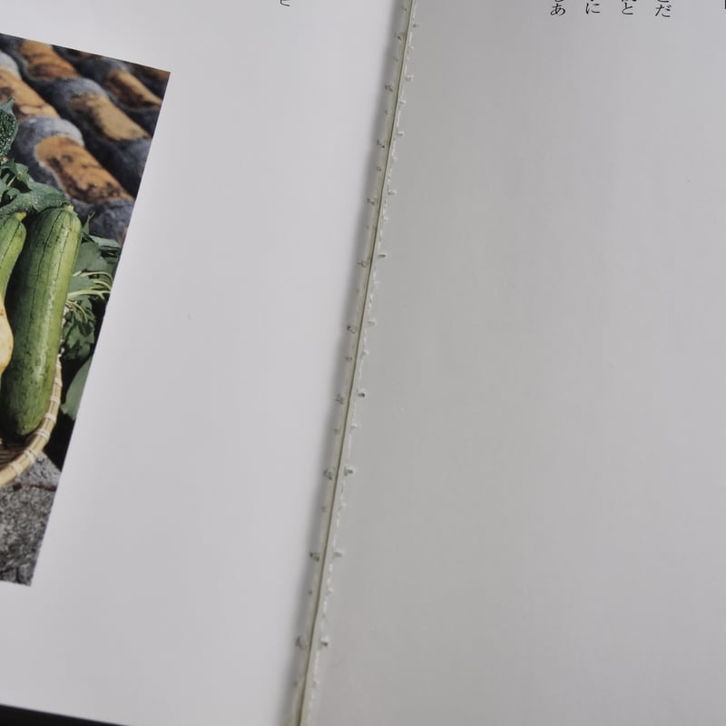 沖縄野菜の本 西大八重子 | 古書店うみつばめ