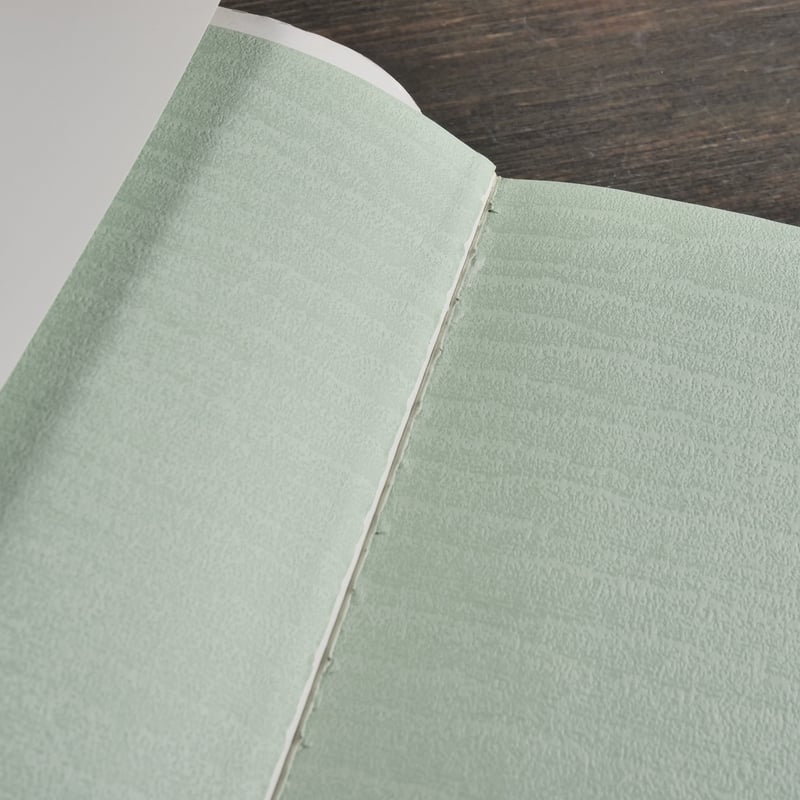 沖縄野菜の本 西大八重子 | 古書店うみつばめ