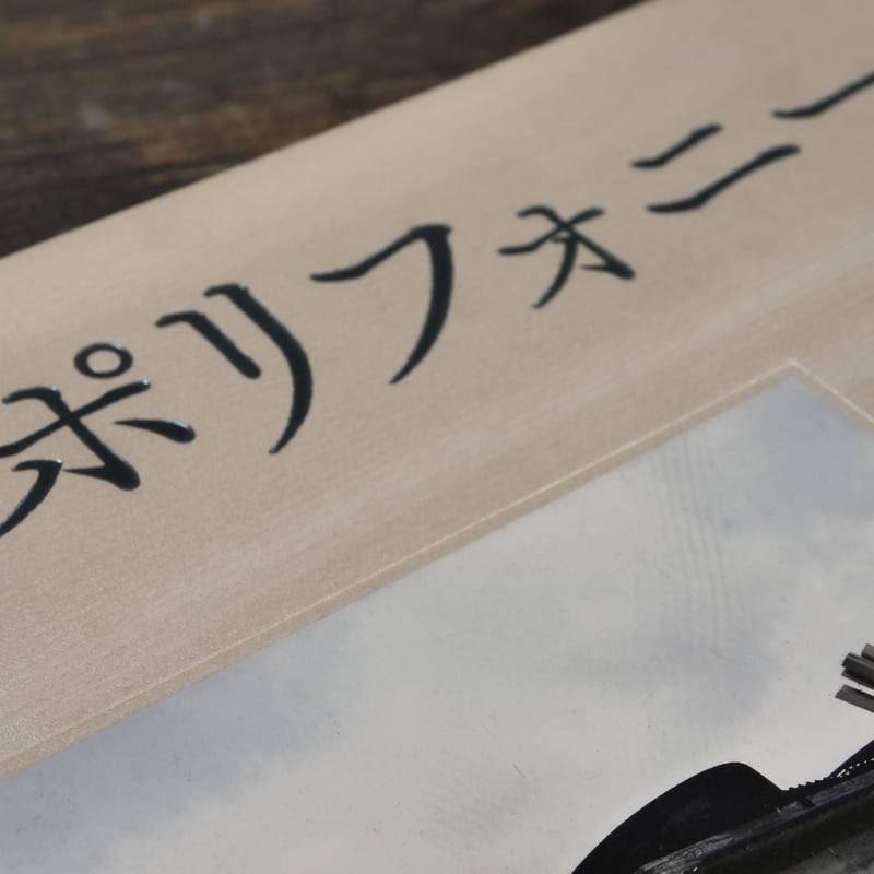 絶景のポリフォニー 石川竜一 ※初版 | 古書店うみつばめ