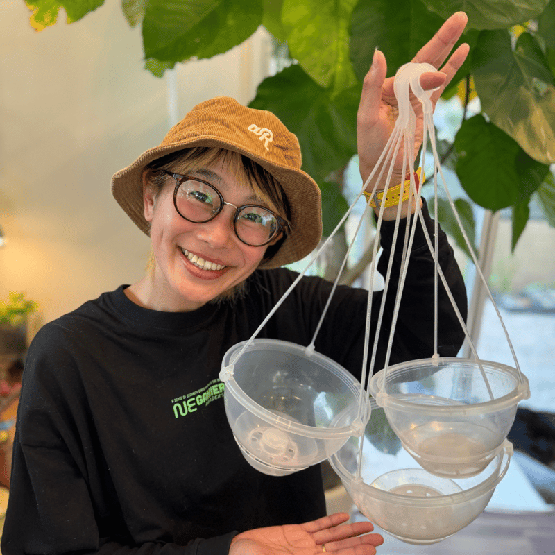 透明鉢《 NEgamieru 》 AIR Max 7号 1鉢 | 花森家-1号店-