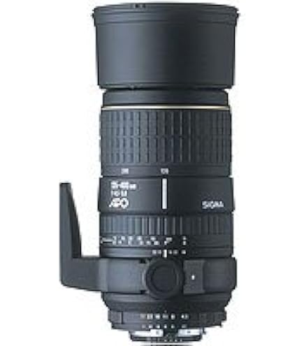 Amazon.co.jp: シグマ 170-500mm F5-6.3 APO DG ペンタックス用 : 家電