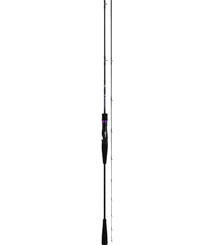 Amazon | ダイワ(DAIWA) タチウオジギングロッド 鏡牙X 63B-2 釣り竿