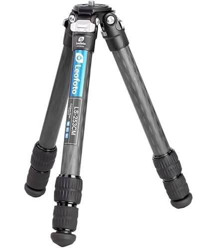 Amazon | GITZO 三脚 マウンテニア 2型 カーボン 3段 GT2532 | 三脚 通販