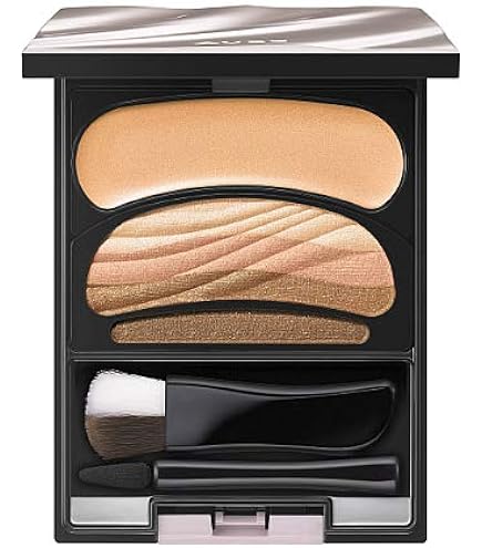 Amazon.co.jp: ソフィーナ オーブ ブラシひと塗りシャドウ N15 レッド