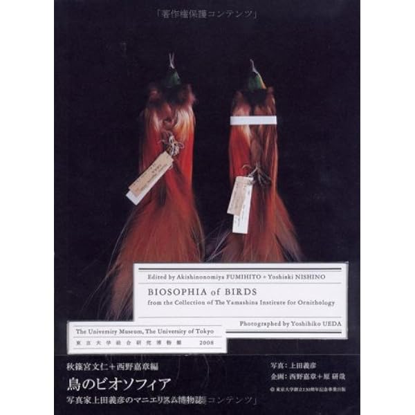 ONE HUNDRED STONEWARES | 上田 義彦, 西野 嘉章 |本 | 通販 | Amazon