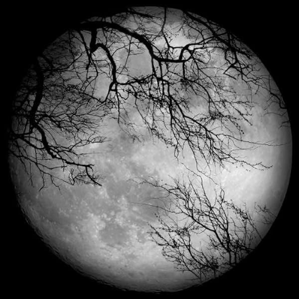 Amazon.co.jp: LUNA SEA【ジャケットA】[CD + 1991年ツアーグッズ +