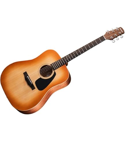 Amazon | Morris (モーリス) アコースティックギター M-82 NAT 日本製