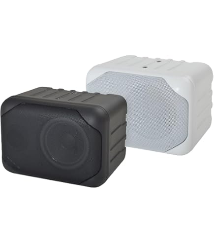 Amazon.co.jp: オースミ電機 MASSIVE BOX形スピーカー AV-635IIMP(W